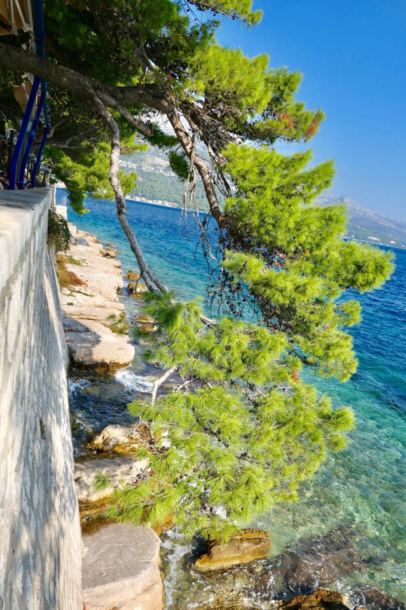 Apartments Mt Residence Завалатица Экстерьер фото